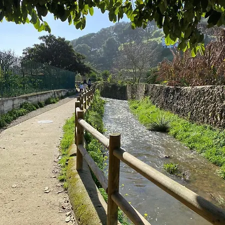 Sea View * 카스카이스